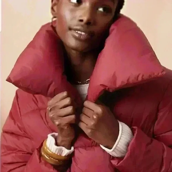 Banana Republic Oversized Funnel-Neck Puffer Coat - Picture 5 of 11